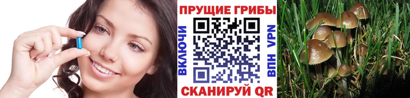 Галлюциногенные грибы MAGIC MUSHROOMS  Бирюч 